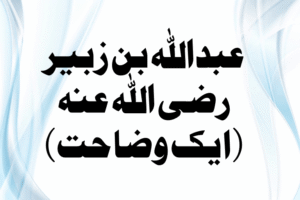 Read more about the article عبداللہ بن زبیر رضی اللہ عنہ ، (ایک وضاحت)