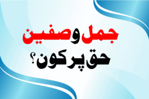 Read more about the article جمل وصفين ، حق پر كون؟