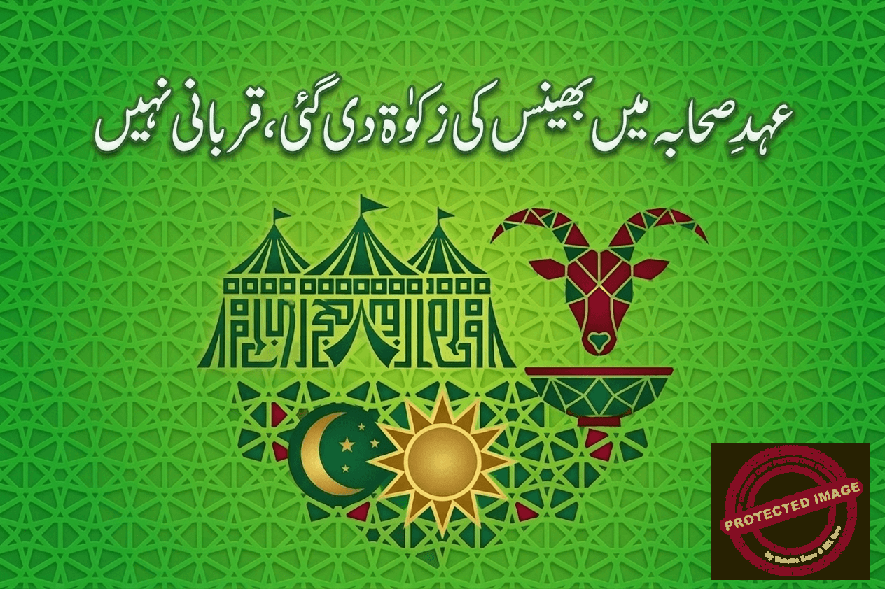 You are currently viewing عہدِ صحابہ میں بھینس کی زکوٰۃ دی گئی، قربانی نہیں۔